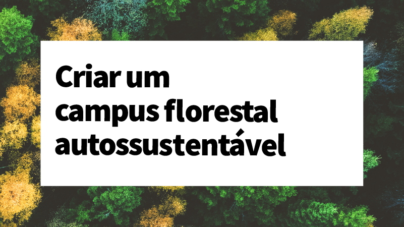 What if a real estate company could create a self-sustaining forest campus